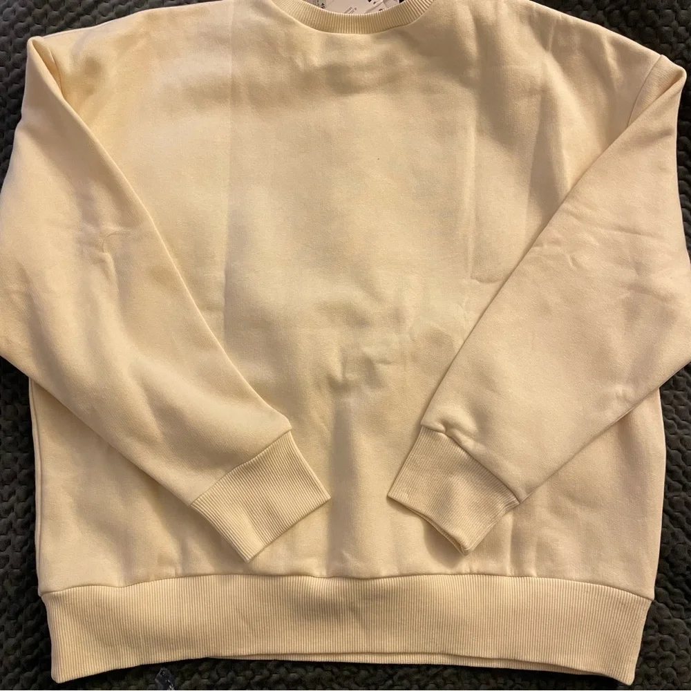 NWT Zara Venus Italica Sweatshirt.  Size M - Picture 7 of 8